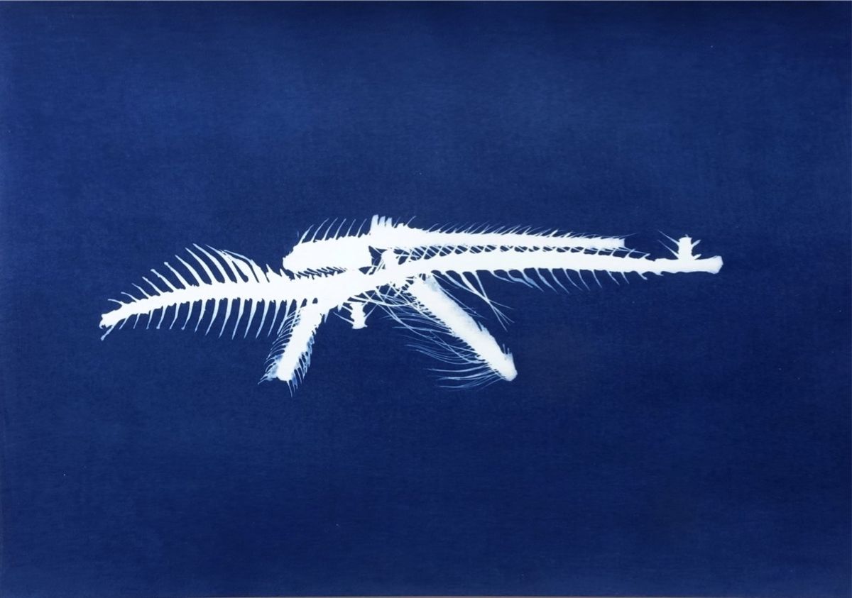Cyanotype print, HUNGER-47.
