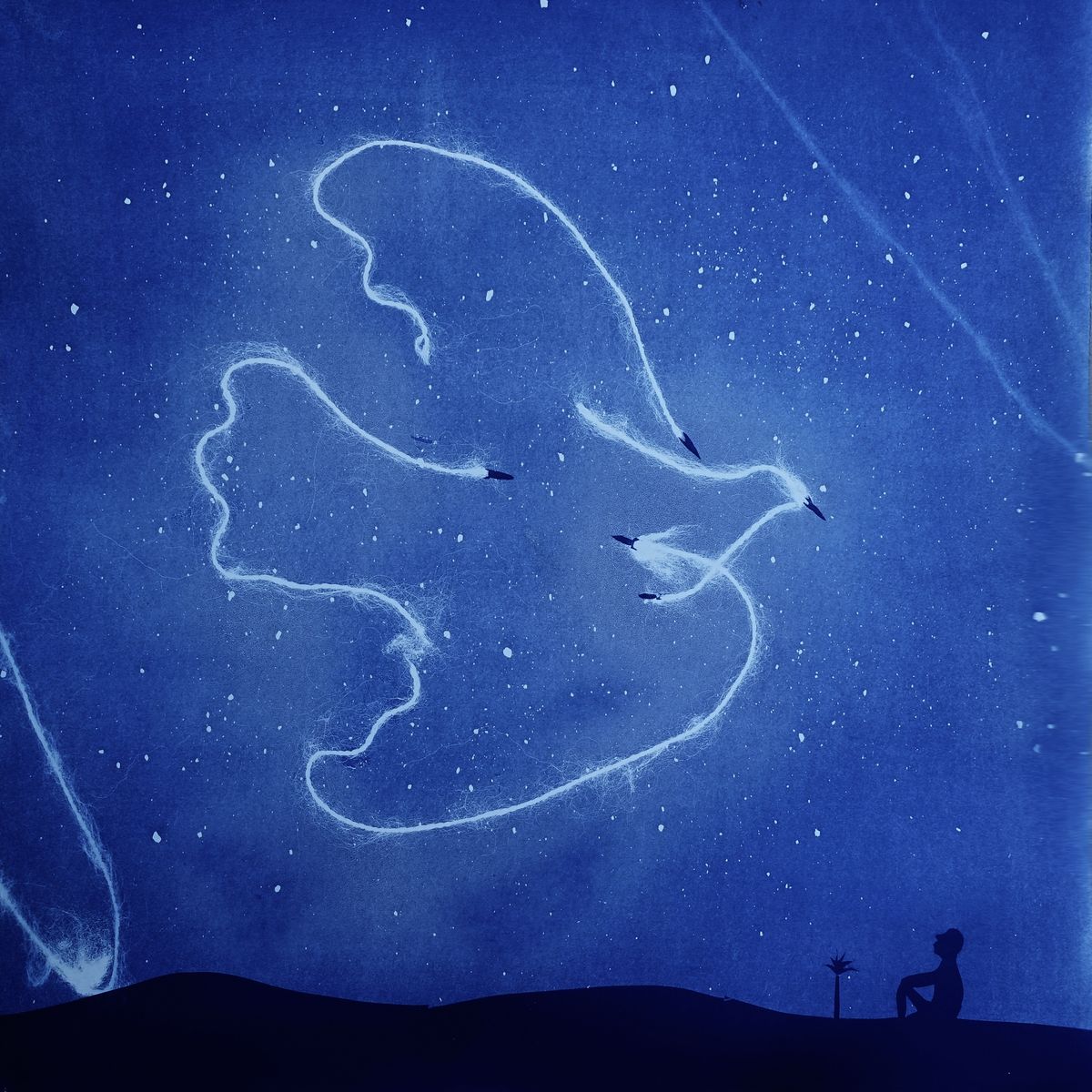 Cyanotype print, Missile dove.