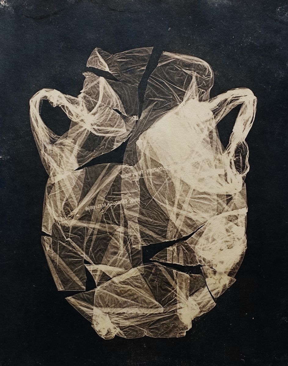 ANCIENT BAG. Cyanotype.