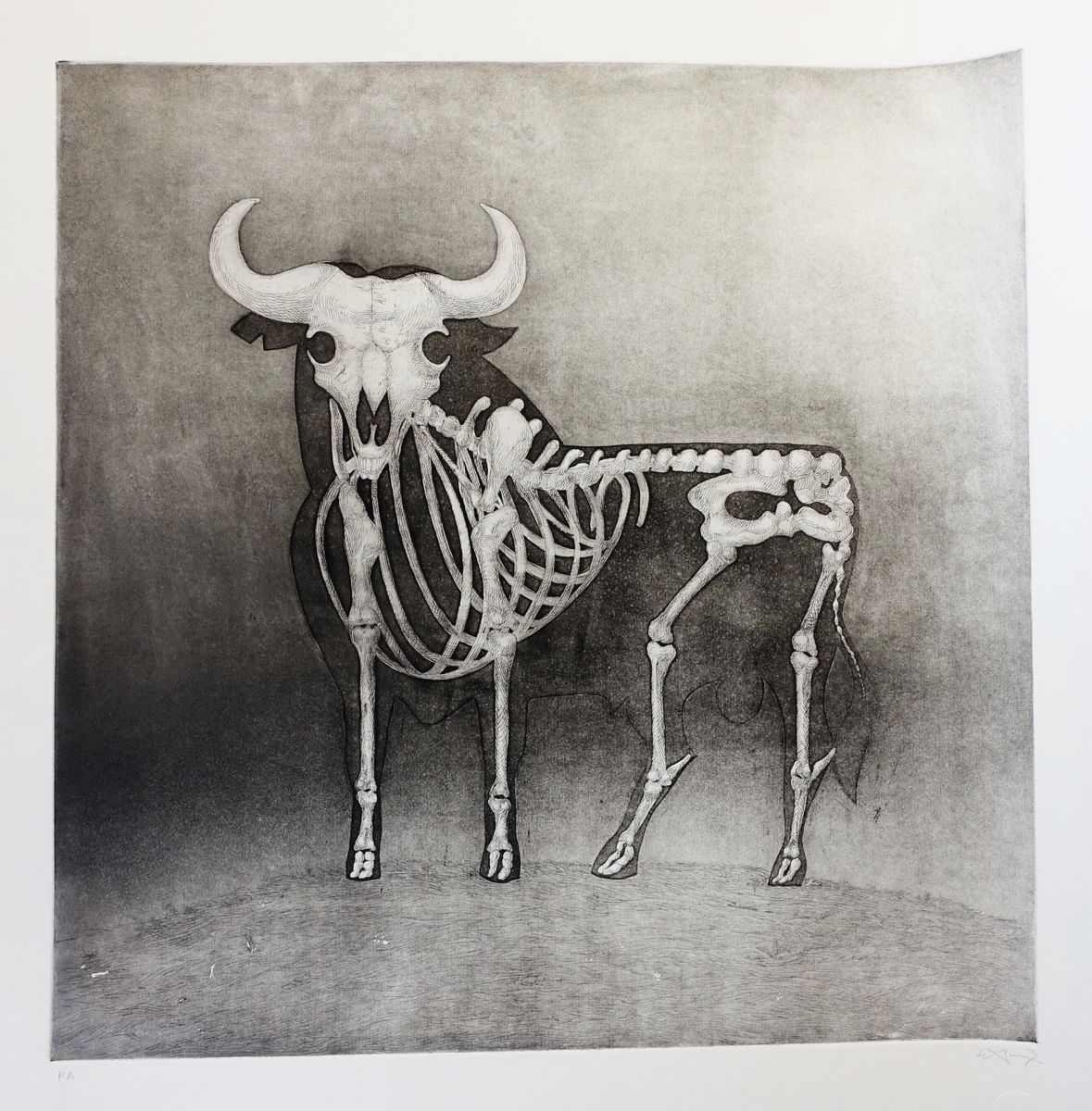 TORO I. Etching.