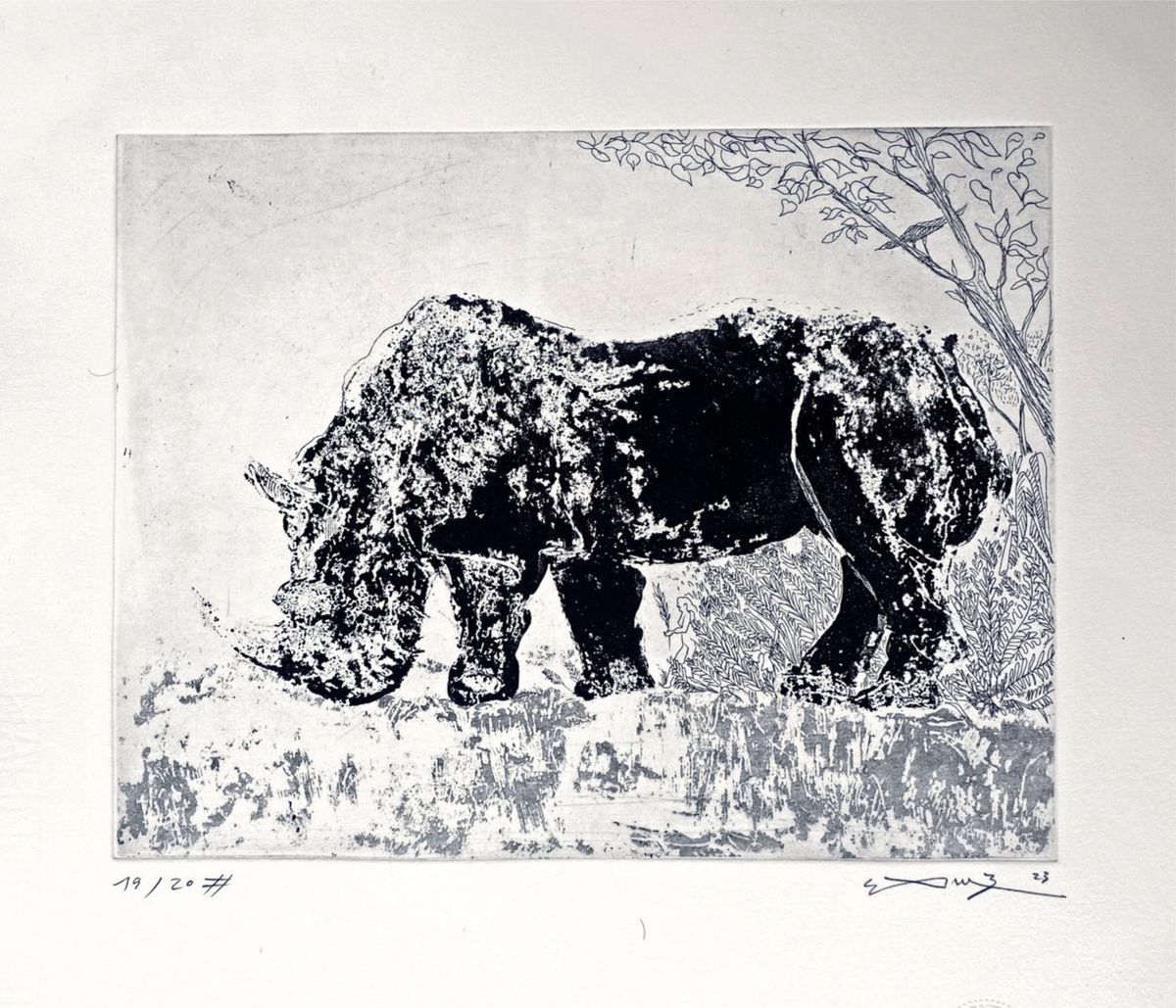 Black and white etching of a grazing rhinoceros in dark blotchy tone, with finely drawn ferns and a leafy tree branch on the right and grey textured ground below, with edition number and signature in pencil.