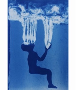 INFINITE REEL. Cyanotype.