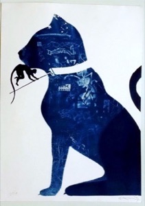 STRAY CAT. Cyanotype.