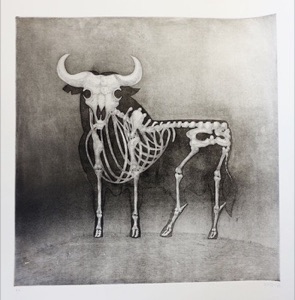 TORO I. Etching.