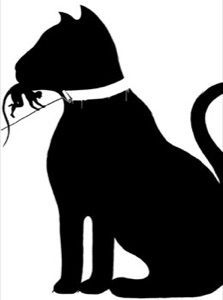 PET. Screen print.