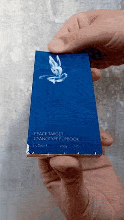 Animated image of two hands holding a small blue flipbook against a concrete wall, the cover showing a white bird made of feathers and printed text with the title, author and copy number, as the pages are flipped.