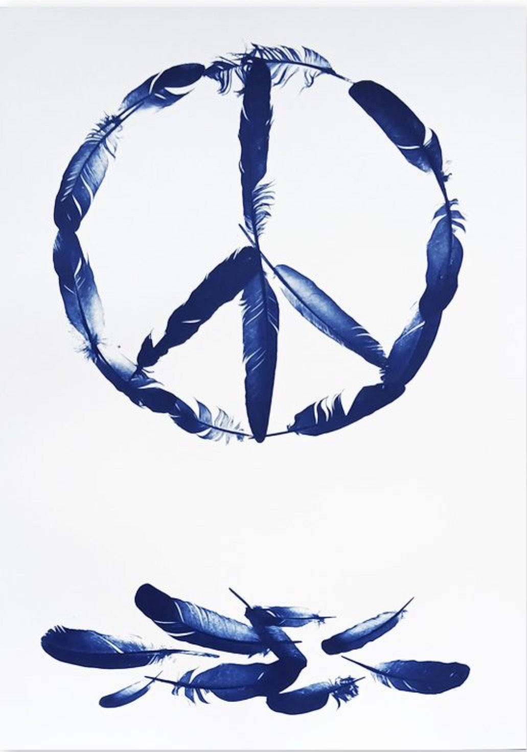 Cyanotype print on white paper of a peace symbol formed by dark blue feather silhouettes arranged in a circle with a central vertical line and two diagonal branches, above a loose pile of fallen feathers at the bottom of the sheet.