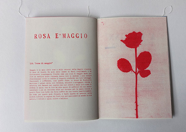 Open booklet spread with the title "ROSA E' MAGGIO" and Italian text on the left page, and a red risograph illustration of a thorny rose stem with a bloom and leaves on the right.