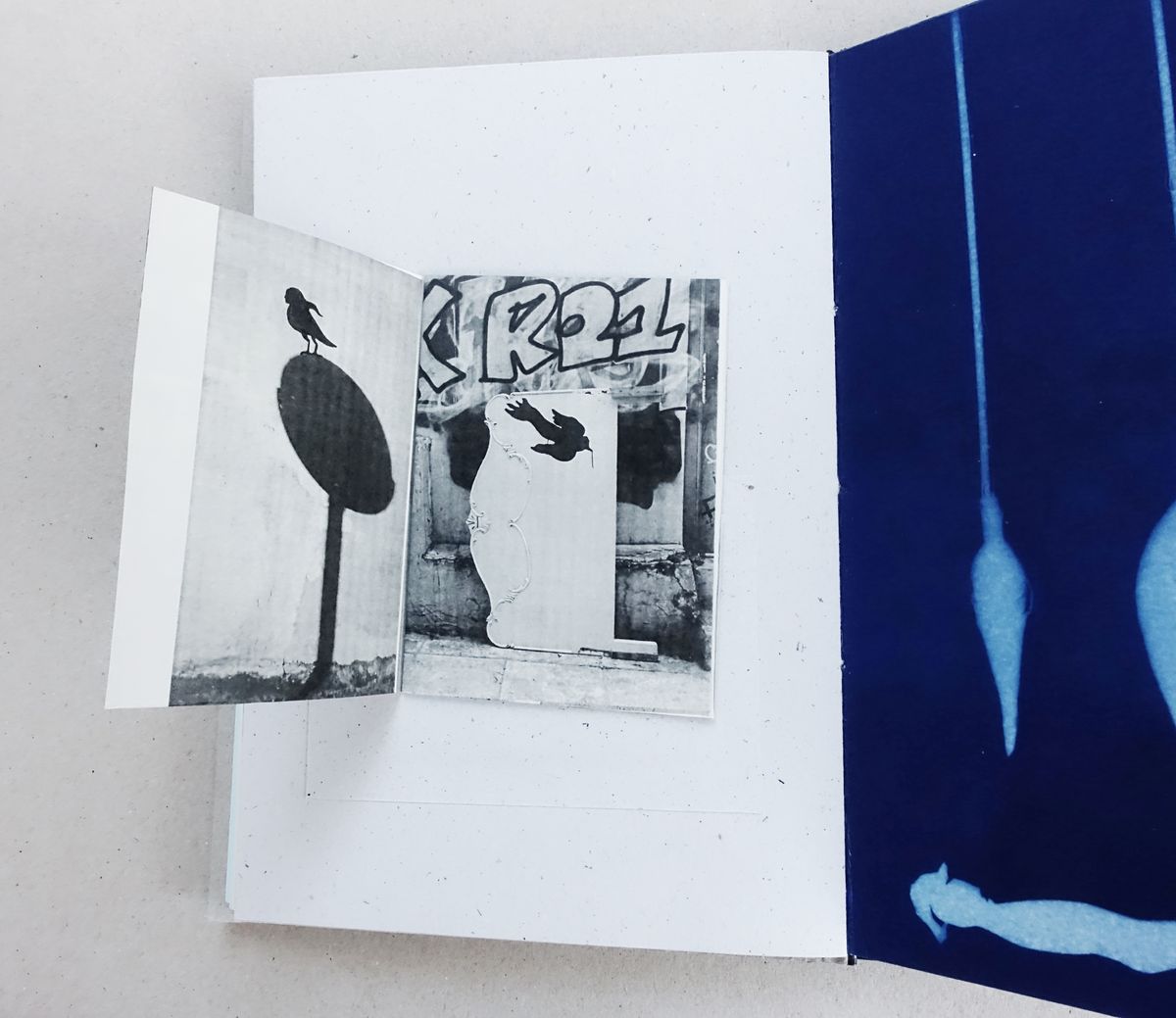 Open book showing a small bound insert on the left page with two black and white street photos, a bird silhouette perched on the shadow of a round sign and a bird silhouette on a white panel in front of a graffiti wall, beside a blue cyanotype page with pale hanging forms on the right.