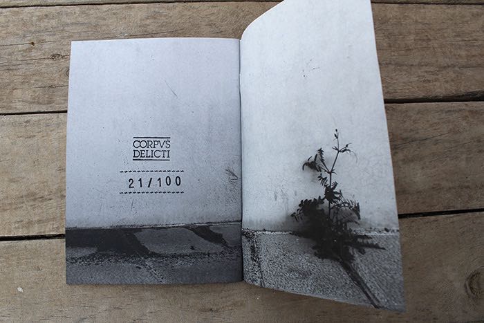 Open booklet spread stamped "CORPUS DELICTI 21/100" on the left page, and a photo of a dark plant-like stain on a wall meeting the pavement below on the right.