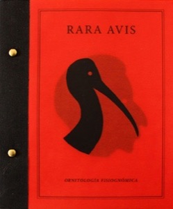 Rara Avis.
