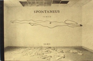 Spontaneus Tomo IV.