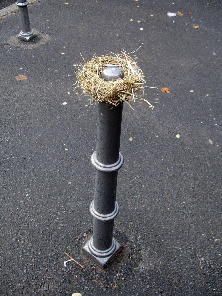 Straw nest wrapped around the top of a black bollard on a street, a smooth grey egg-shaped object nestled in the center.