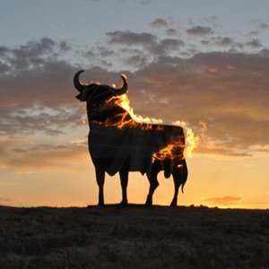 TORO ARDIENDO.
