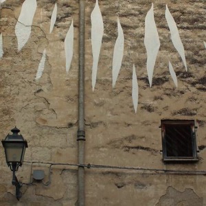 LA SOMBRA ANTES DE VER LA LUZ.