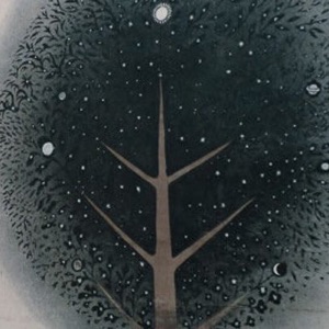 ARBOL COSMICO.